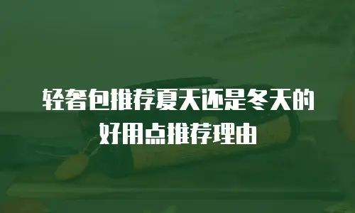 轻奢包推荐夏天还是冬天的好用点推荐理由