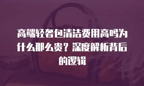 高端轻奢包清洁费用高吗为什么那么贵？深度解析背后的逻辑