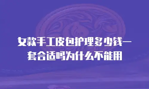 女款手工皮包护理多少钱一套合适吗为什么不能用