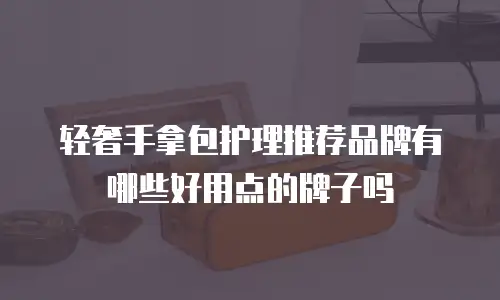轻奢手拿包护理推荐品牌有哪些好用点的牌子吗
