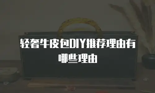 轻奢牛皮包DIY推荐理由有哪些理由