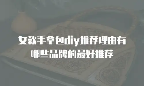 女款手拿包diy推荐理由有哪些品牌的最好推荐