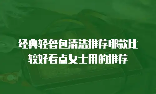 经典轻奢包清洁推荐哪款比较好看点女士用的推荐