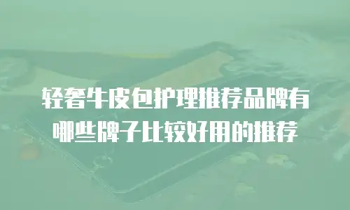 轻奢牛皮包护理推荐品牌有哪些牌子比较好用的推荐