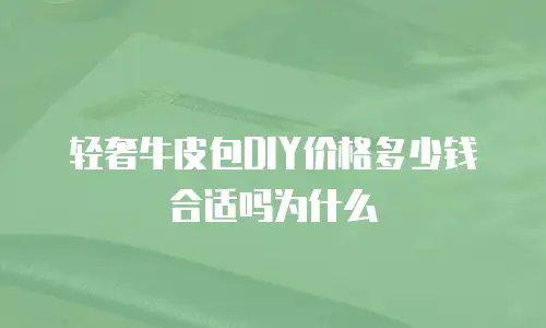 轻奢牛皮包DIY价格多少钱合适吗为什么