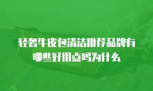 轻奢牛皮包清洁推荐品牌有哪些好用点吗为什么