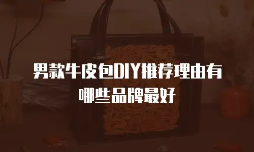 男款牛皮包DIY推荐理由有哪些品牌最好