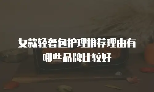 女款轻奢包护理推荐理由有哪些品牌比较好