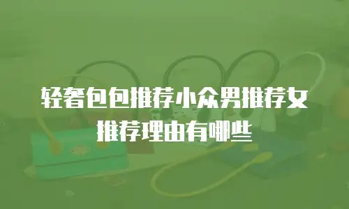 轻奢包包推荐小众男推荐女推荐理由有哪些