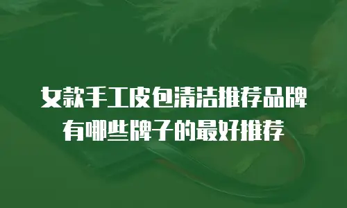 女款手工皮包清洁推荐品牌有哪些牌子的最好推荐