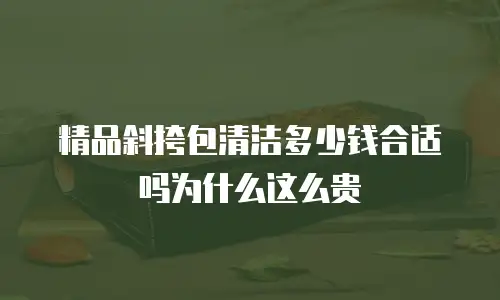精品斜挎包清洁多少钱合适吗为什么这么贵