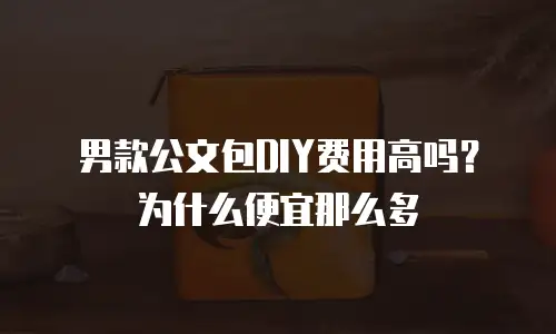 男款公文包DIY费用高吗？为什么便宜那么多