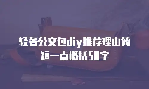 轻奢公文包diy推荐理由简短一点概括50字