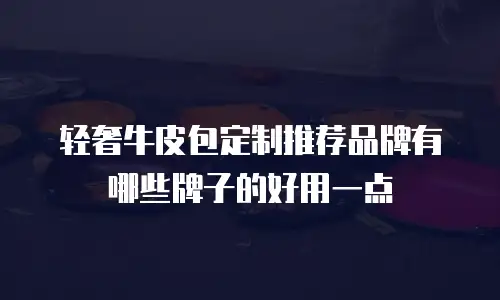 轻奢牛皮包定制推荐品牌有哪些牌子的好用一点