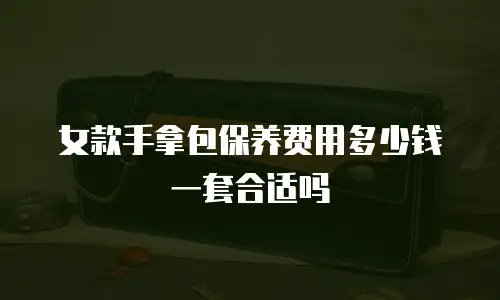 女款手拿包保养费用多少钱一套合适吗