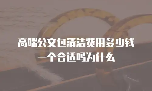 高端公文包清洁费用多少钱一个合适吗为什么