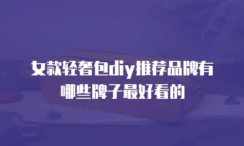 女款轻奢包diy推荐品牌有哪些牌子最好看的