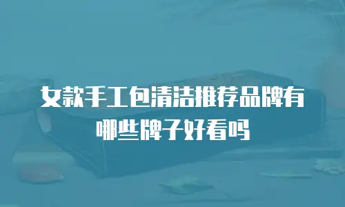 女款手工包清洁推荐品牌有哪些牌子好看吗