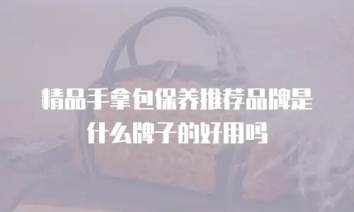 精品手拿包保养推荐品牌是什么牌子的好用吗