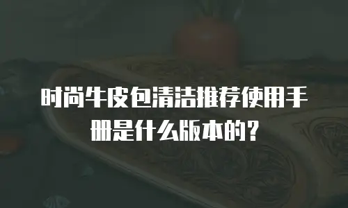 时尚牛皮包清洁推荐使用手册是什么版本的？
