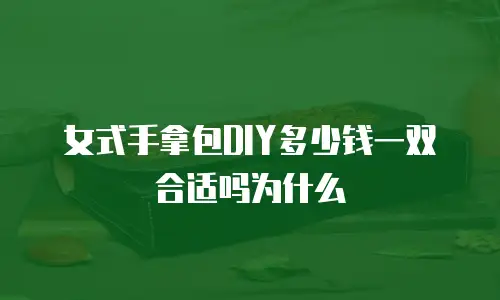 女式手拿包DIY多少钱一双合适吗为什么
