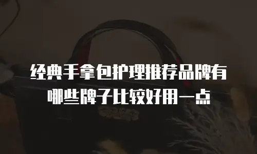 经典手拿包护理推荐品牌有哪些牌子比较好用一点