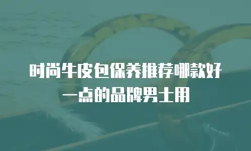 时尚牛皮包保养推荐哪款好一点的品牌男士用