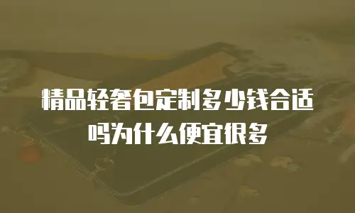 精品轻奢包定制多少钱合适吗为什么便宜很多