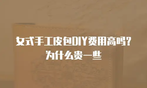 女式手工皮包DIY费用高吗？为什么贵一些