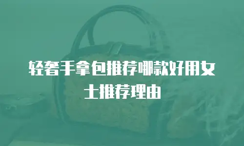 轻奢手拿包推荐哪款好用女士推荐理由