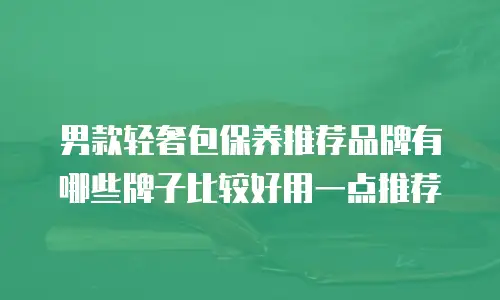 男款轻奢包保养推荐品牌有哪些牌子比较好用一点推荐