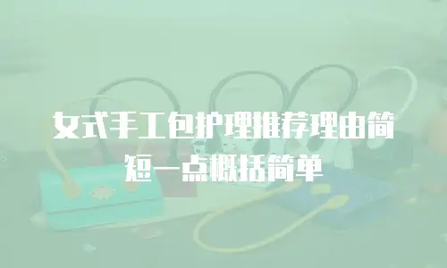 女式手工包护理推荐理由简短一点概括简单