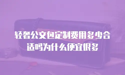 轻奢公文包定制费用多少合适吗为什么便宜很多