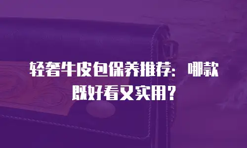 轻奢牛皮包保养推荐：哪款既好看又实用？