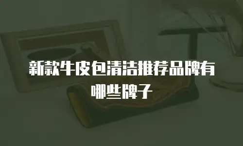 新款牛皮包清洁推荐品牌有哪些牌子