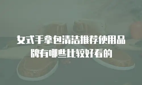 女式手拿包清洁推荐使用品牌有哪些比较好看的
