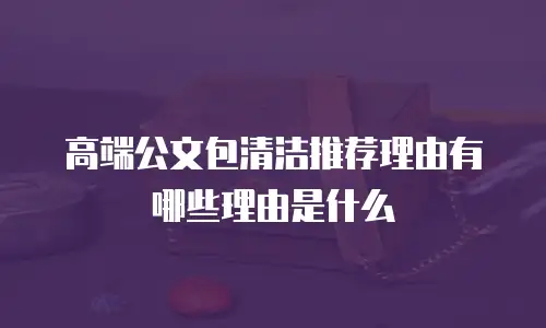 高端公文包清洁推荐理由有哪些理由是什么