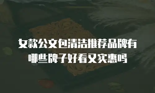 女款公文包清洁推荐品牌有哪些牌子好看又实惠吗