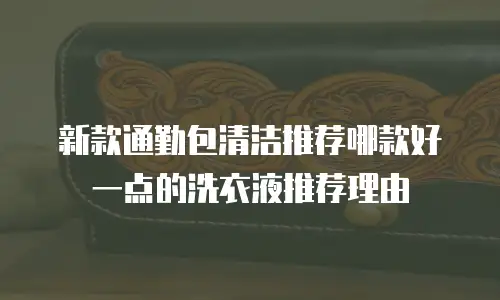 新款通勤包清洁推荐哪款好一点的洗衣液推荐理由