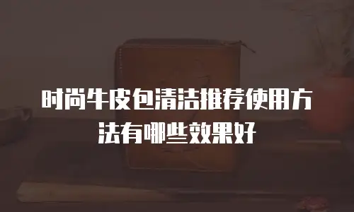 时尚牛皮包清洁推荐使用方法有哪些效果好