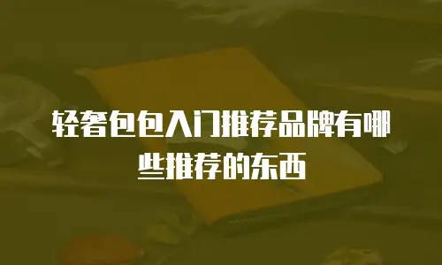 轻奢包包入门推荐品牌有哪些推荐的东西