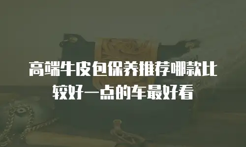 高端牛皮包保养推荐哪款比较好一点的车最好看