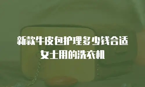 新款牛皮包护理多少钱合适女士用的洗衣机