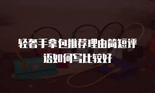 轻奢手拿包推荐理由简短评语如何写比较好