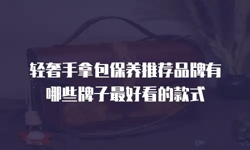 轻奢手拿包保养推荐品牌有哪些牌子最好看的款式