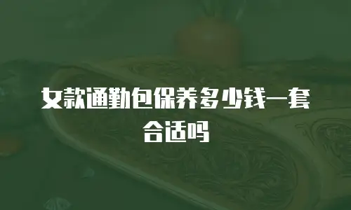女款通勤包保养多少钱一套合适吗