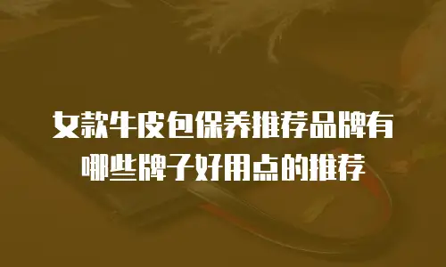 女款牛皮包保养推荐品牌有哪些牌子好用点的推荐