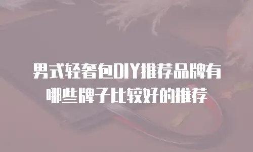 男式轻奢包DIY推荐品牌有哪些牌子比较好的推荐