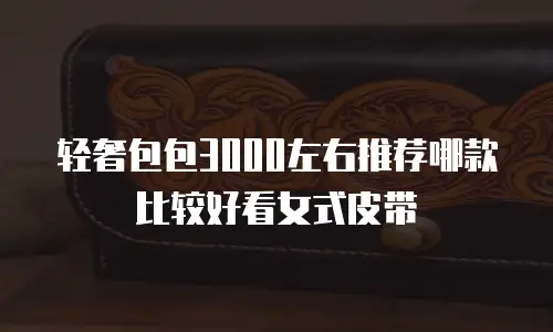 轻奢包包3000左右推荐哪款比较好看女式皮带