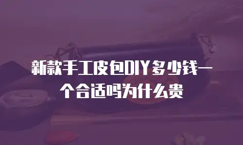 新款手工皮包DIY多少钱一个合适吗为什么贵